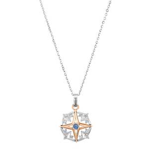 Diamond Necklaces and Pendants: Ec851Br-Zb Pendant EC851BR-ZB